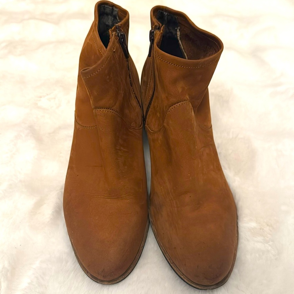 Avellini Camel Colored Booties
